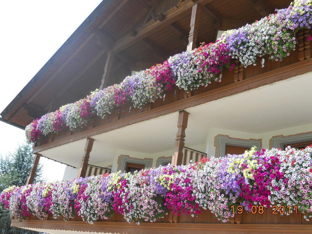 Hotel Rosenheim Rodengo Exterior photo